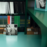 vinyl collector